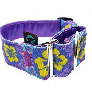 Collar Pop breezy breeze