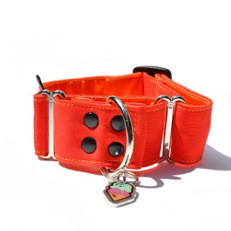 Collar Clásico Swing